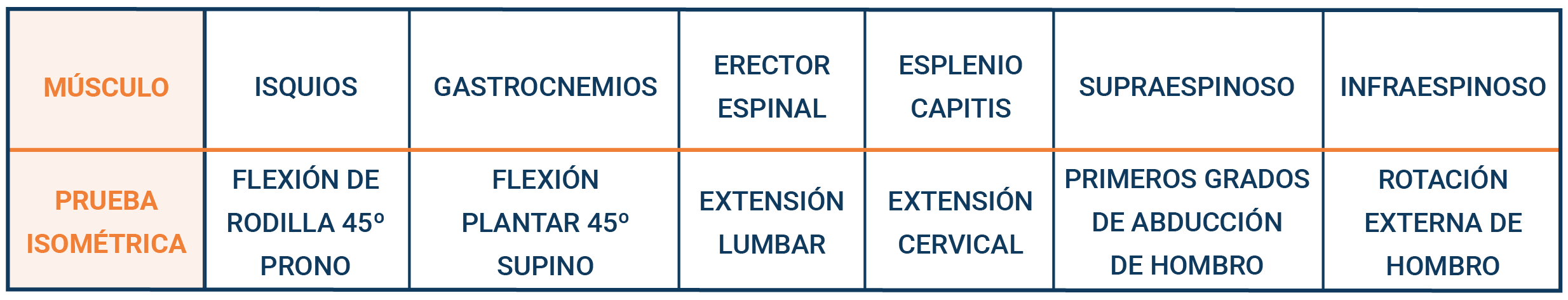 MEDICIÓN DE ISOMÉTRICAS PARA CADA MÚSCULO MEDICIÓN DE ISOMÉTRICAS PARA CADA MÚSCULO