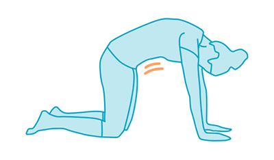 transverso del abdomen