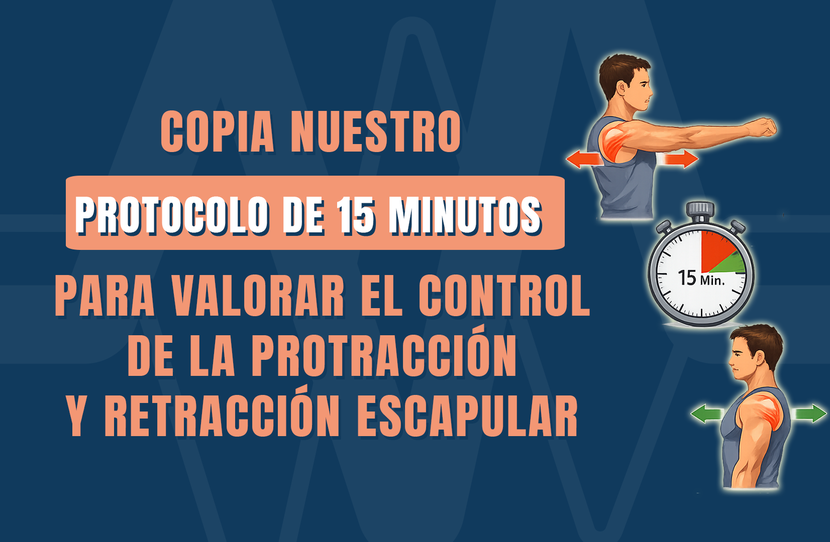 la protracción y retracción escapular