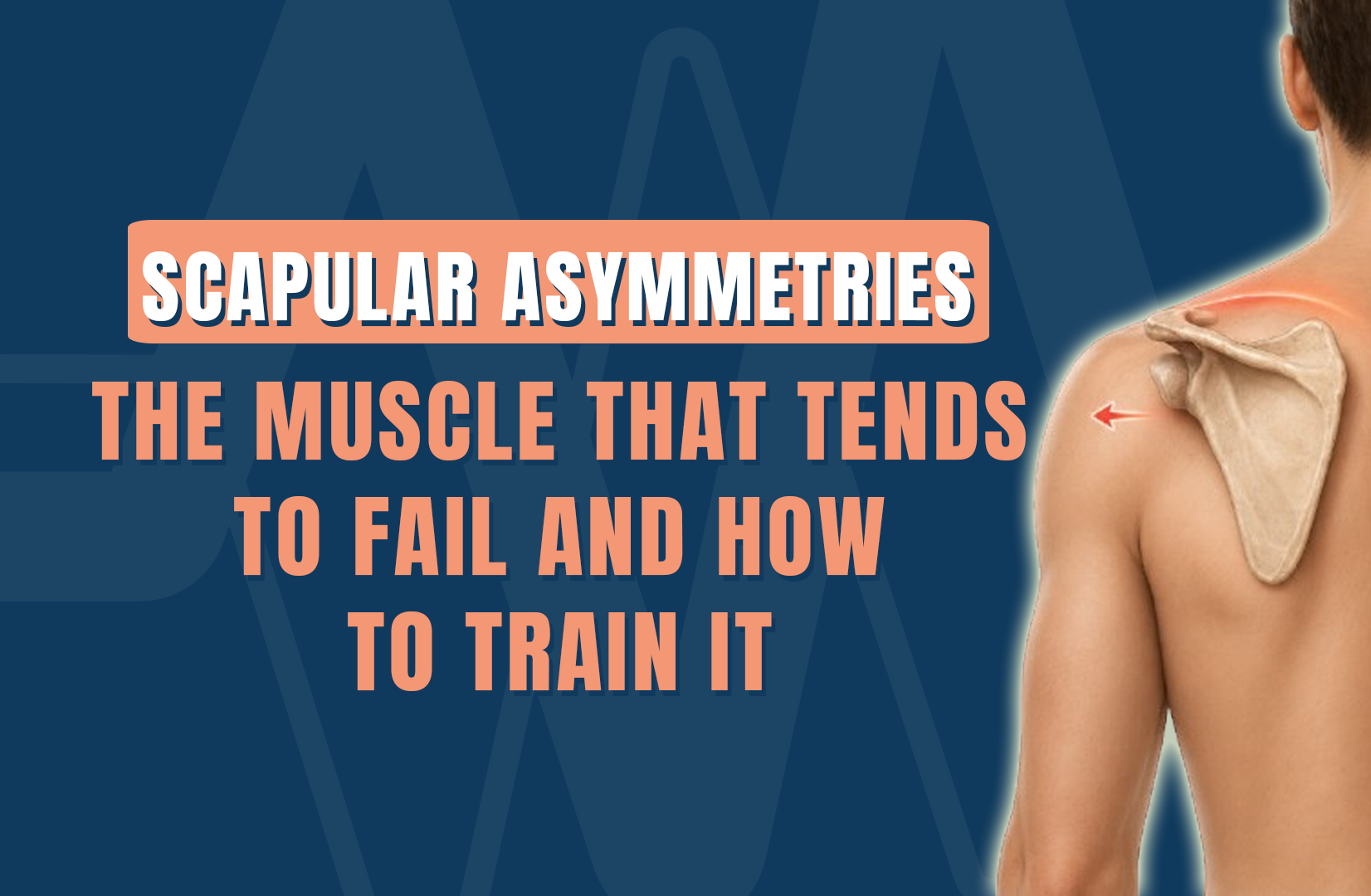 Scapular asymmetries