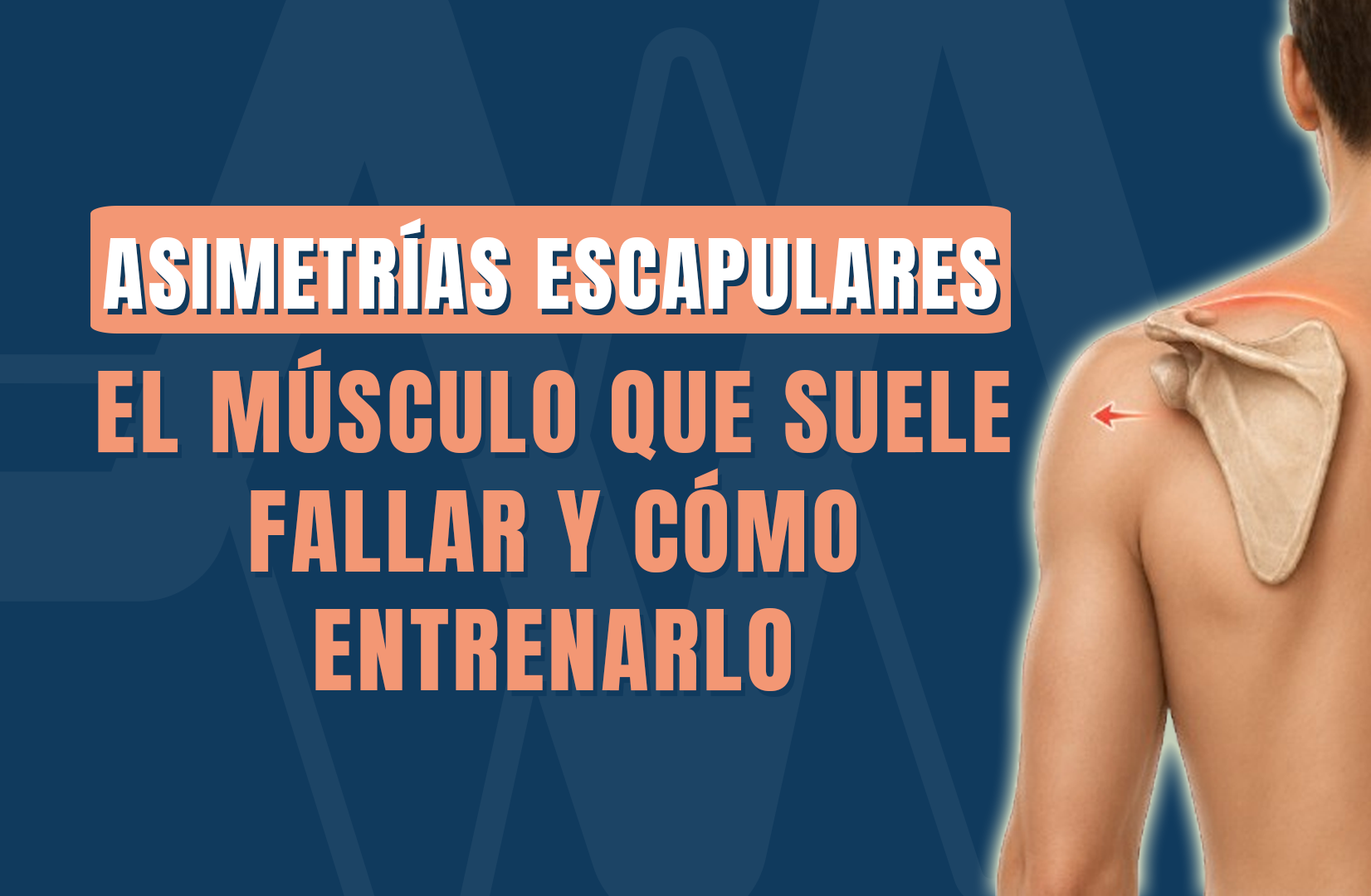 Asimetrías escapulares