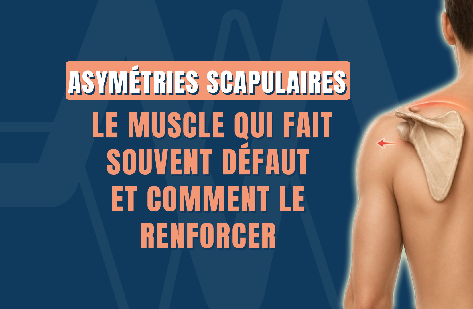 Asymétries scapulaires