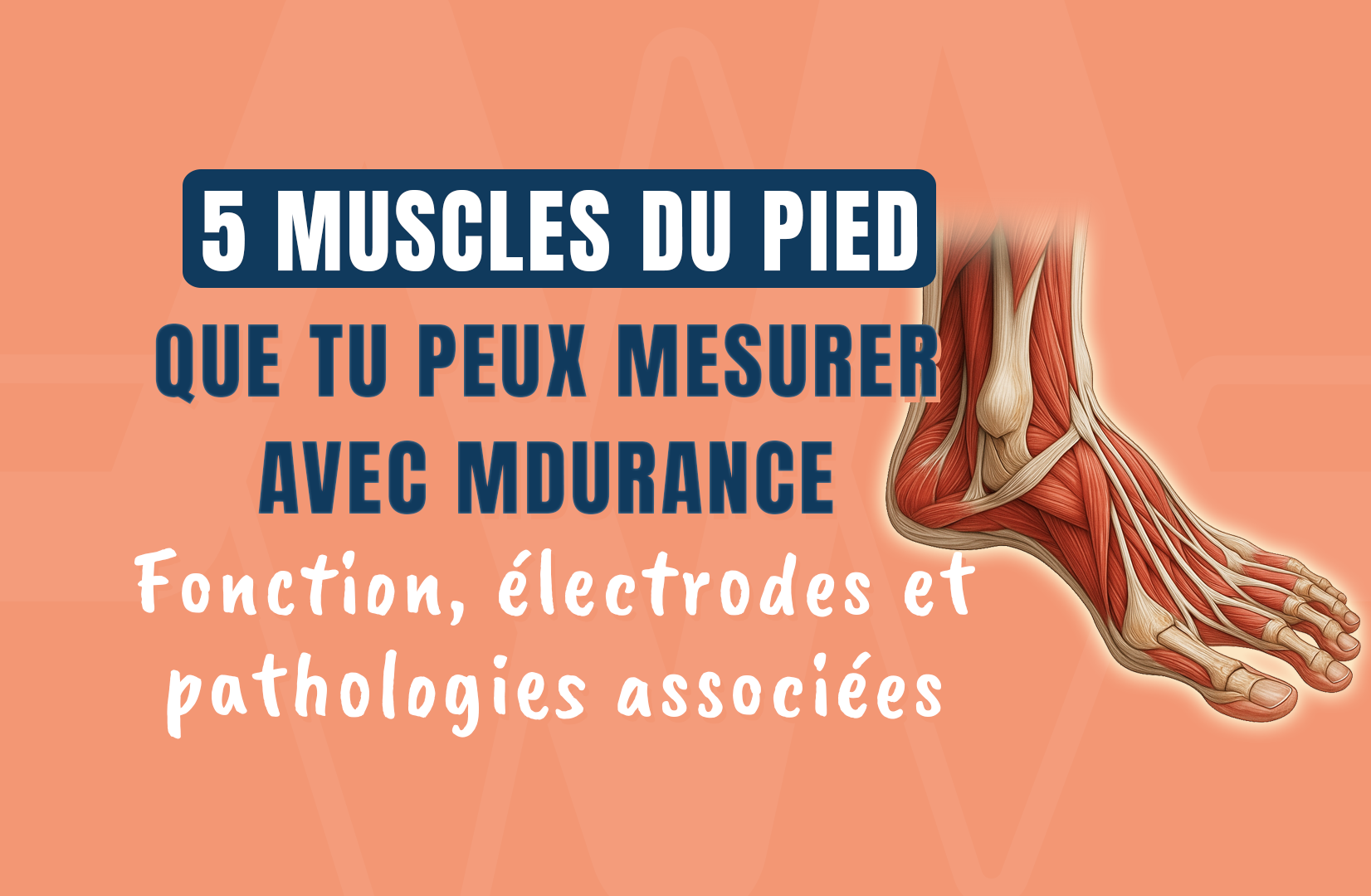 5 muscles du pied que tu peux mesurer avec mDurance