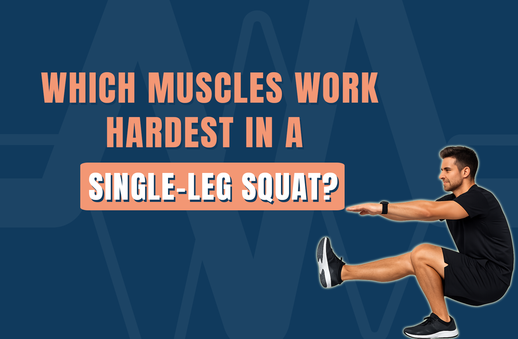 Which muscles work hardest in a single-leg squat