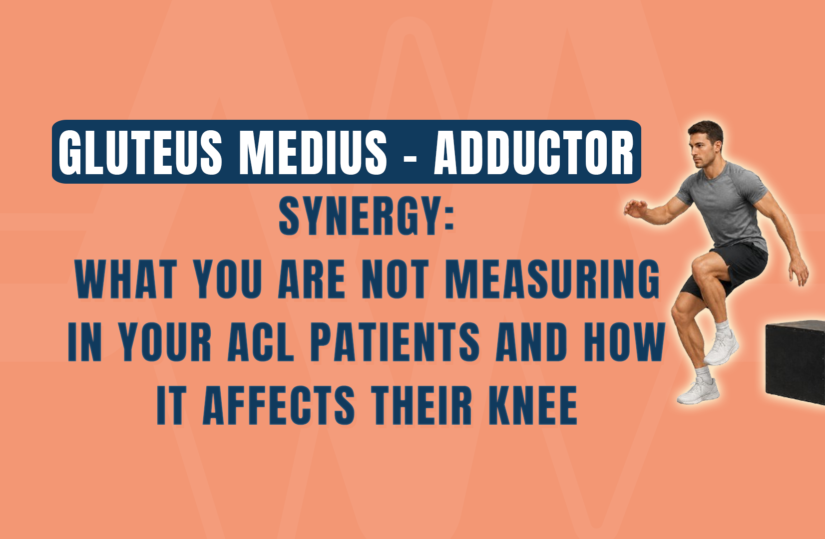 Gluteus medius - adductor synergy