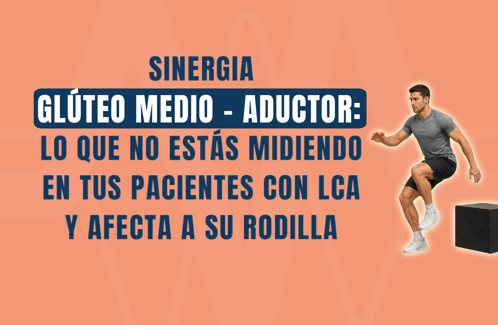 Sinergia glúteo medio - aductor
