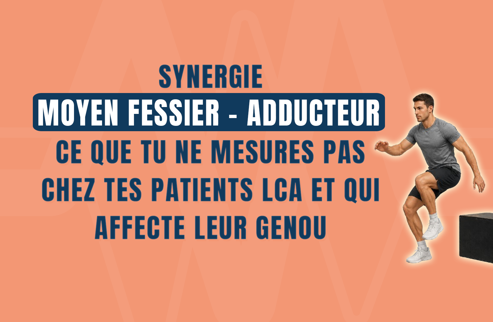 Synergie moyen fessier - adducteur